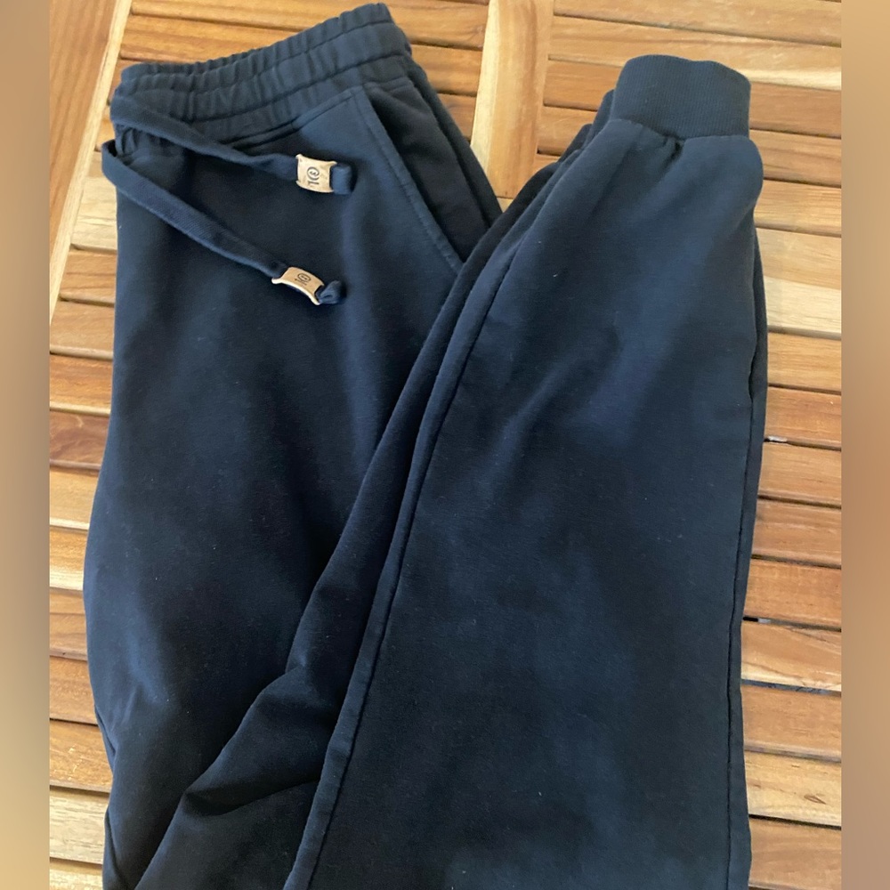 Tentree terry joggers